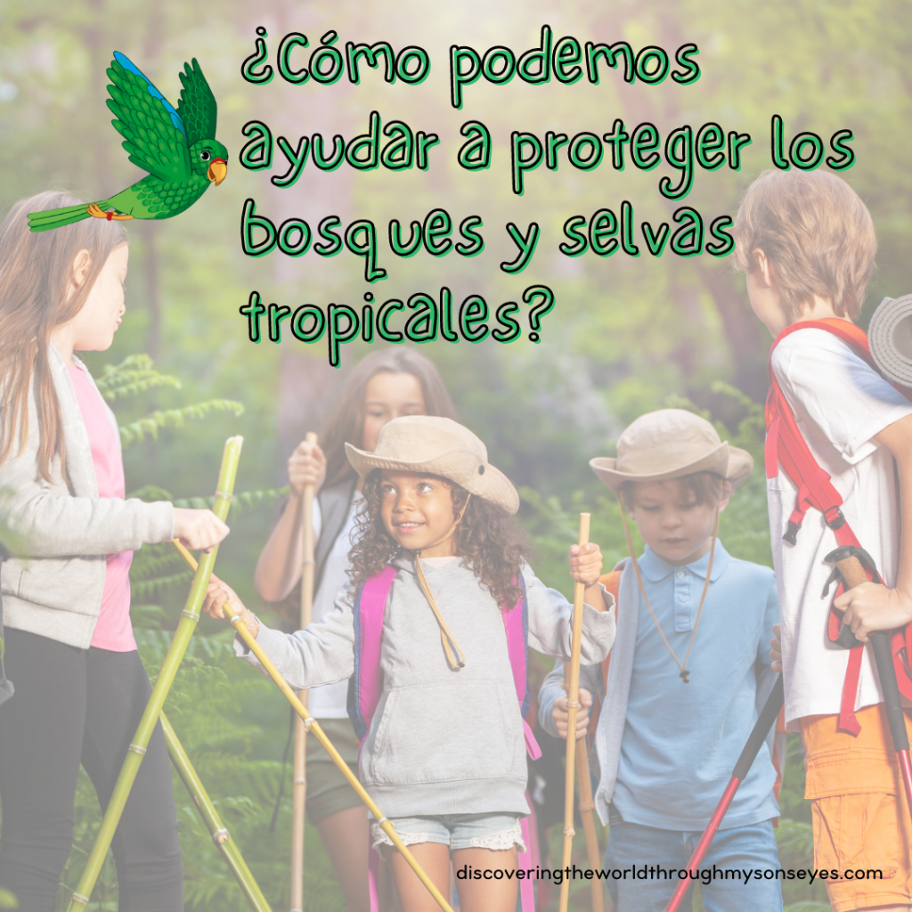 bosques tropicales