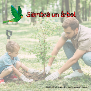bosques tropicales
