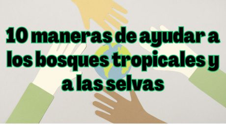 bosques tropicales