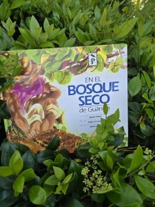 Puerto Rican Places en el bosque seco