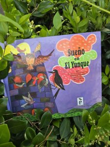 Puerto Rican Places el yunque